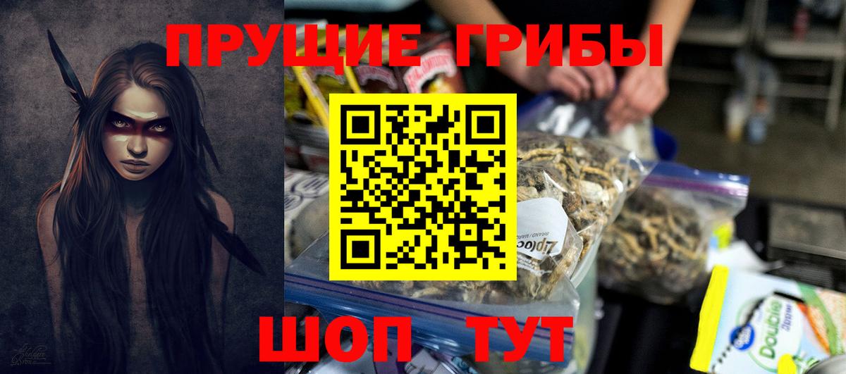 Новосибирск  купить  сайты  Вход с VPN  Псилоцибиновые грибы Magic Shrooms 